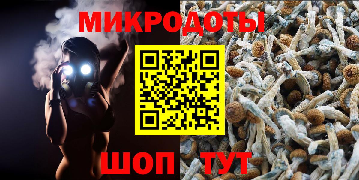 Биробиджан  где продают наркотики  Вход с VPN  Галлюциногенные грибы GOLDEN TEACHER 